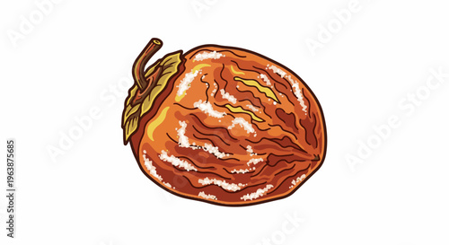 A detailed illustration of a single, dried apricot with wrinkles and a stem