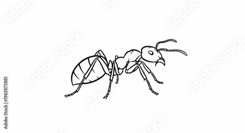 A detailed line drawing of a single ant in profile on a white background