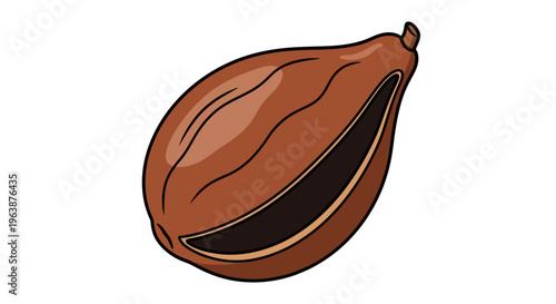 close up detail dried nutmeg