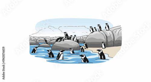 A colony of penguins gathered on rocks and in the water under a bright sky