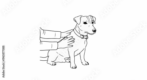 A gentle touch on a sitting dog's back, showing care and connection