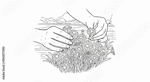 A gentle touch gathers daisies from a field under a cloudy sky