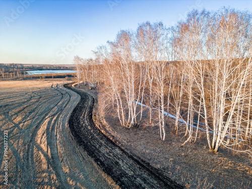Quadro em tela Aerial view of plowed fire protection mineralized strip for preventing spring gr