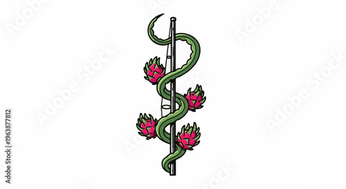 A green vine with four pink dragon fruits entwined around a pole