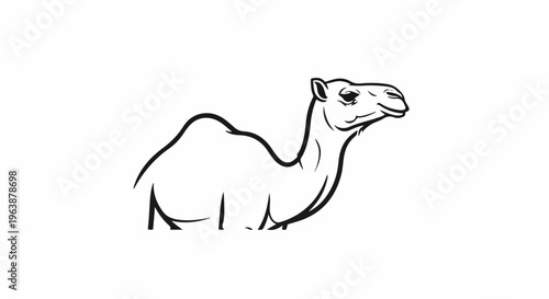 A minimalist black and white line drawing of a camel facing right