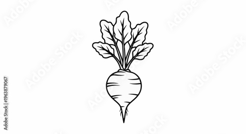 Black and white outline illustration of a single beet with leafy green tops