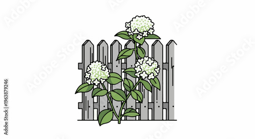 A simple illustration of white flowers with green leaves and a gray picket fence