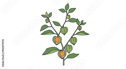 vector of cground cherry tree stalk