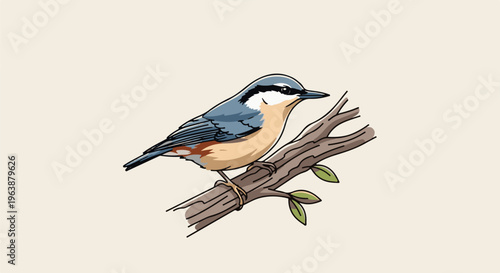 A nuthatch bird with blue, tan, and white plumage perches on a tree branch