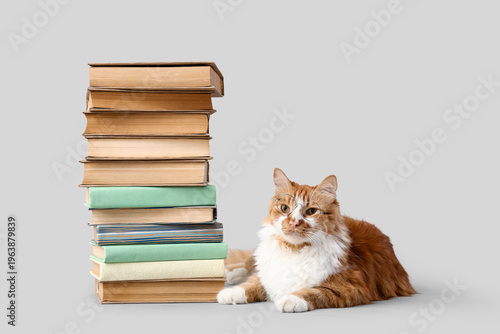 Cute cat in eyeglasses with...