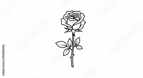 Black outline of a single rose with leaves and thorns on a stem