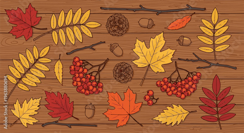 Autumnal collection of leaves, berries, acorns, and pinecones on wood
