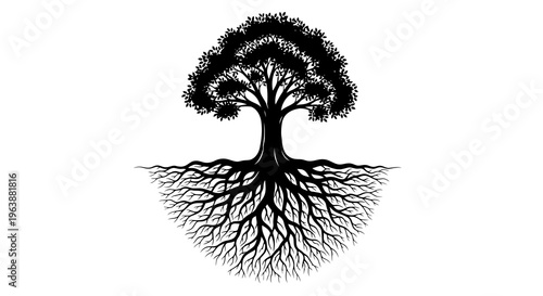 A black and white illustration of a tree with visible roots and branches.