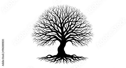 A black silhouette of a tree with bare branches and visible roots against a white background.
