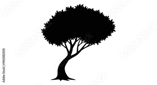 A beautiful black silhouette of a tree against a white background.