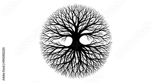 A black tree with branches forming a circular shape around a central void.