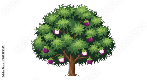 mangosteen tree vector