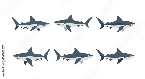 Set of Flat Vector Shark Illustrations in Different Poses