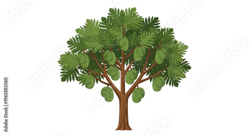 vector illustration of a breadfruit tree bearing heavy fruit