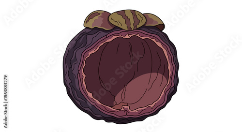 close up of dried mangosteen peel for herbs