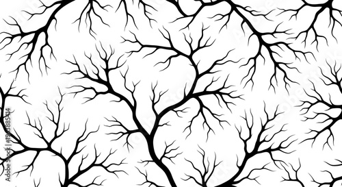 Intricate black branching patterns on a white background create a visually striking image.
