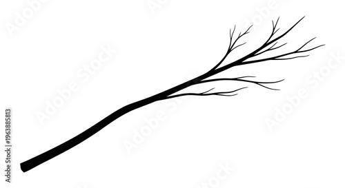 A minimalist black branch with sparse twigs on a white background.