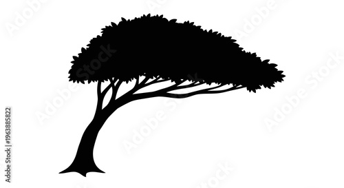 A simple black silhouette of a tree with a wide canopy on a white background.