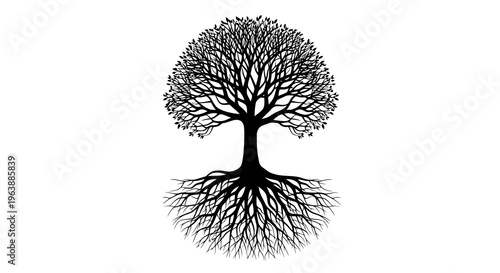 A simple black silhouette of a tree with visible roots and branches on a white background.