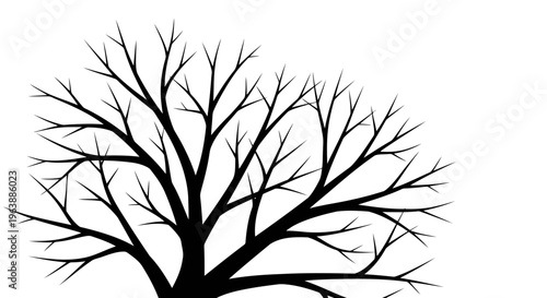 A black silhouette of a bare tree against a white background, symbolizing simplicity and stark beauty.