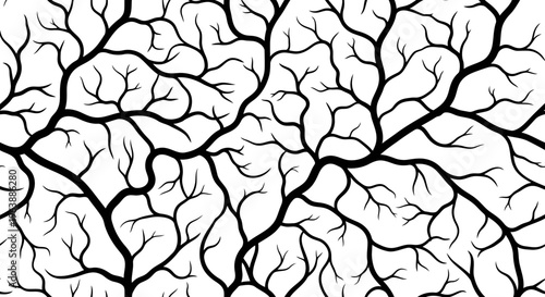Cracked surface with deep black lines and white background forming a network pattern.