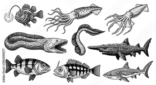 Set of Hand Drawn Deep Sea Creatures and Marine Animals