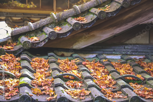 Fotografie Nov 23 2025 Autumn Leaves Covering Traditional Tiled Roofs in a Jakko in Temple