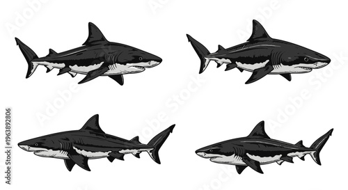 Set of Stylized Shark Illustrations in Black and White