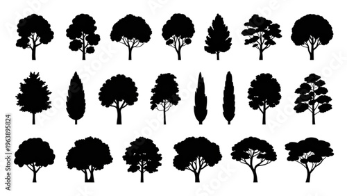 Colorful unicorn with rainbow mane and tail standing gracefully on all fours Vector