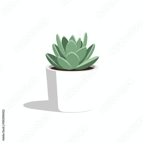 A stylized illustration of a green succulent plant in a white pot with a gray shadow