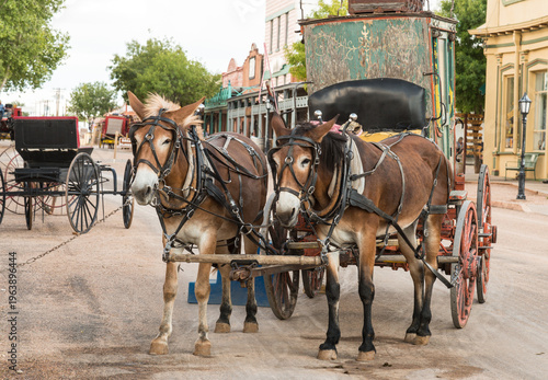USA, Arizona, Tombstone.  Horses hitched to a stagecoach in the street of old wild west town.