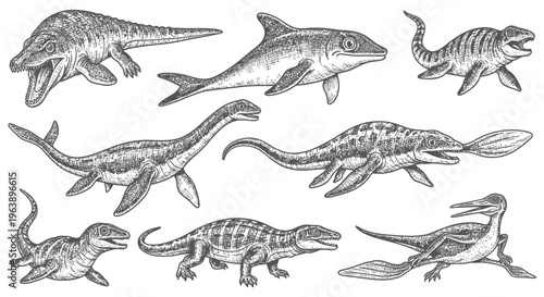 Set of Prehistoric Marine Reptiles and Ancient Sea Creatures Hand Drawn Illustration