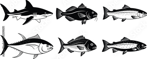 Collection of six fish silhouettes including shark, catfish, trout, tuna, and sea bream, marine freshwater wildlife illustration design