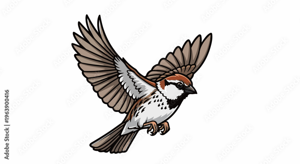 Fototapeta premium A brown and white sparrow with outstretched wings in mid-flight