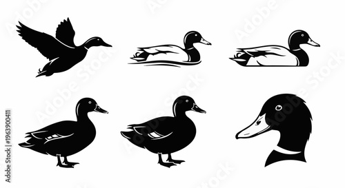 A collection of six stylized black duck illustrations in various poses