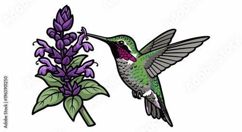 A hummingbird sips nectar from a vibrant purple flower with green leaves