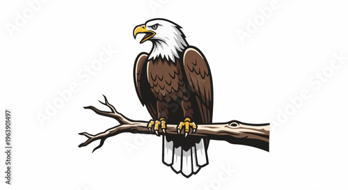 A majestic bald eagle with brown plumage and white head perches on a bare branch