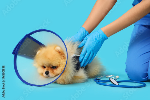 Female veterinarian with Po...