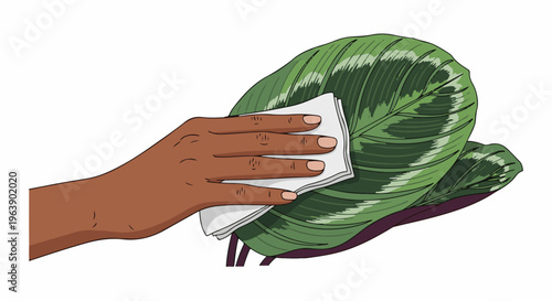 A hand gently wipes a large, patterned green leaf with a white cloth