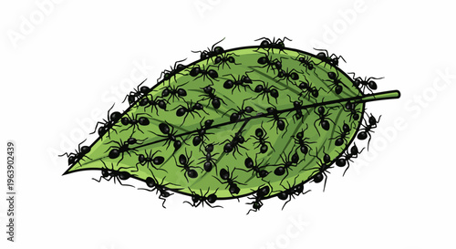 A multitude of black ants swarm over a vibrant green leaf