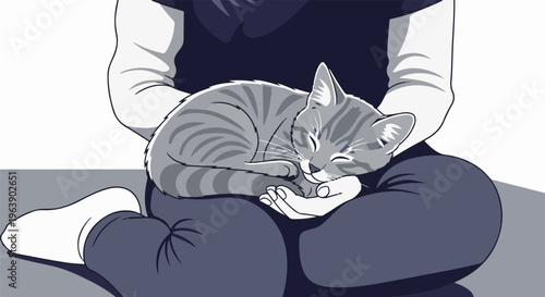A contented tabby cat naps soundly in a person's lap, feeling safe