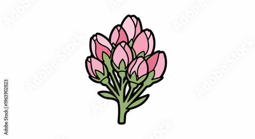 A cluster of pink flower buds with green stems and leaves, outlined in black