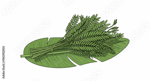 A bunch of small, feathery green leaves tied together on a large green leaf