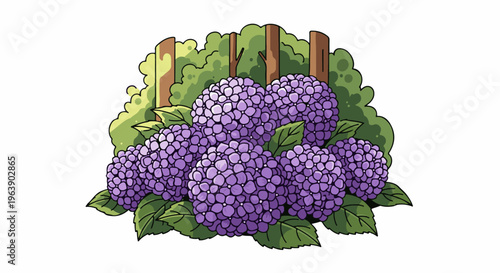 A cluster of purple hydrangeas with green leaves and background bushes