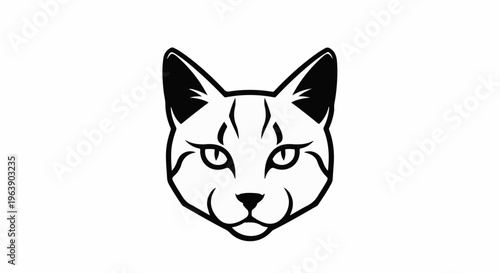 A bold, graphic, black and white illustration of a feline's face